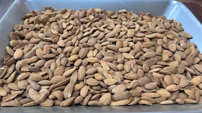 فروش و قیمت عمده مغز بادام سنگی سامان